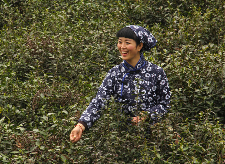 暗香情欲